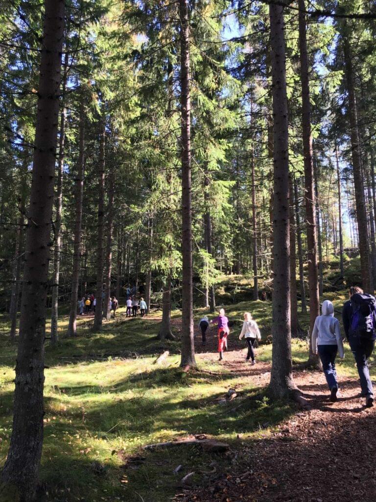 barn i skogen