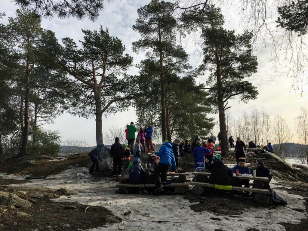 Skogdag med Solheim skole